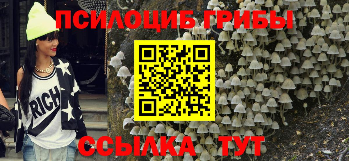 Галлюциногенные грибы мухоморы Касимов