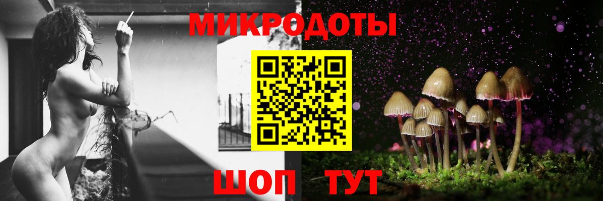 Галлюциногенные грибы Psilocybe  Вход с VPN  Касимов 