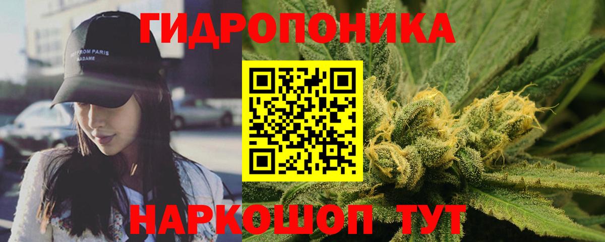 Шишки марихуана VHQ  Конопля конопля  Вход с VPN  Бошки Шишки сатива  Касимов 